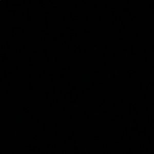 Meet your Posher, Dan